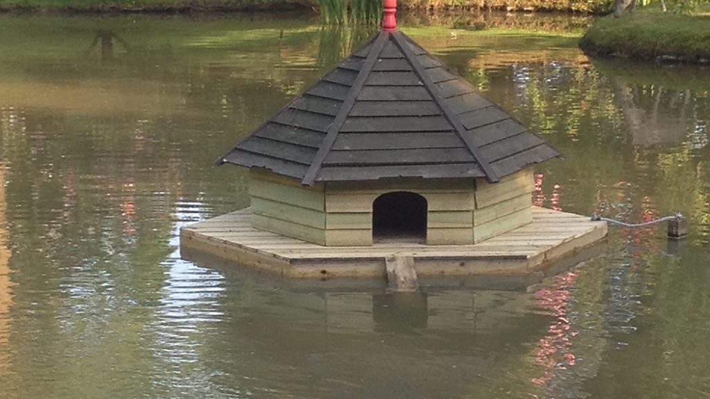 duck-house3
